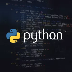 Cover image for Online course PROGRAMACIÓN PROFESIONAL EN PYTHON