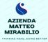 MATTEO MIRABILIO's School