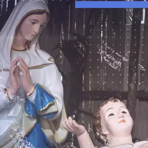 Imagem do curso Curso Brasil de Todos os Santos