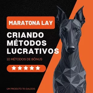 Imagem de capa para o Curso online Maratona Lay | Construindo e Validando Métodos