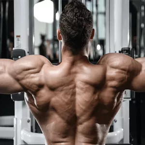 Imagem de capa para o Ebook Planilha Fitness