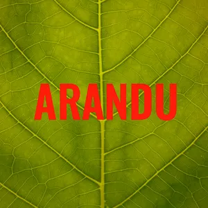 Imagem de capa para o Ebook ARANDU - O CAMINHO PARA A CRIATIVIDADE