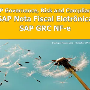 Imagem do curso Curso SAP GRC NF-e - VIDEO AULAS + EBOOK