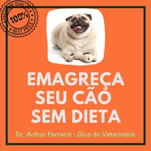 Imagem de capa para o Curso online APRENDA a Emagrecer Seu Cão Sem Dieta