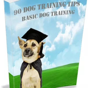 Cover image for Ebook 90 Dog Training Tips