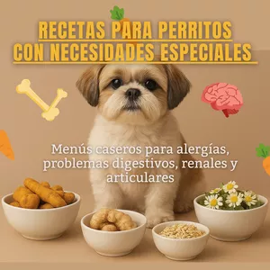 Imagen de portada para Ebook Recetas para Perritos con Necesidades Especiales