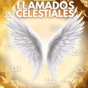 Imagen de portada para Ebook 111 llamados celestiales