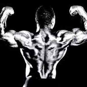 Imagem de capa para o Ebook  Durateston e Masteron: Guia Completo