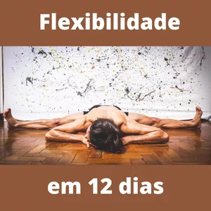 Imagem de capa para o Curso online Flexibilidade em 12 dias 