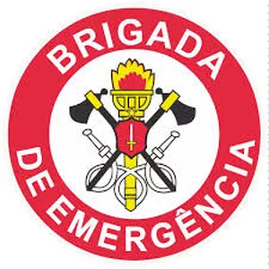 Imagem de capa para o Curso online Curso de Brigada de Emergência