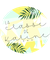 Éducation JFD