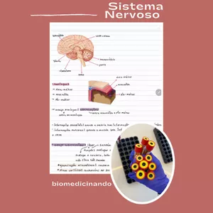 Imagem de capa para o Ebook Study Resumos - Sistema Nervoso