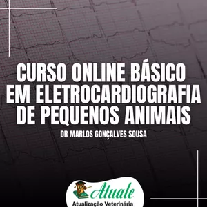 Imagem de capa para o Curso online Curso Básico de Eletrocardiografia Veterinária