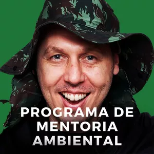 Imagem de capa para o Serviço online PMA - Programa de Mentoria AmbientAll