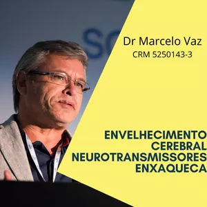 Imagem de capa para o Curso online Envelhecimento Cerebral , Neurotransmissores , Enxaqueca