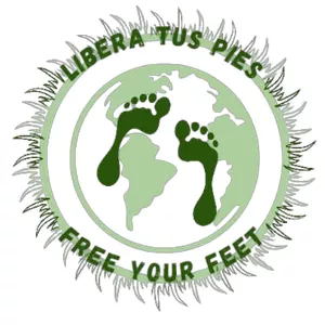 Imagen de portada para Curso online Programa de 12 semanas Libera tus Pies