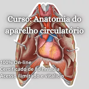 Imagem de Curso de Anatomia do Aparelho Circulatório criado por Felipe Barros Escobar na hotmart
