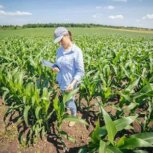 Técnico em Agricultura Ead