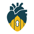 Sollu Consulting logo