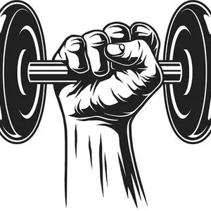 Imagem de capa para o Ebook Treino ABC (push/pull/legs)