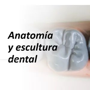 Imagen de portada para Curso online Anatomía y Escultura dental con Dudu Geovani
