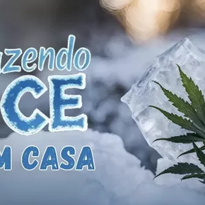 Imagem de capa para o Curso online Fazendo o famoso ICE em casa - haxixe Bubble Hash