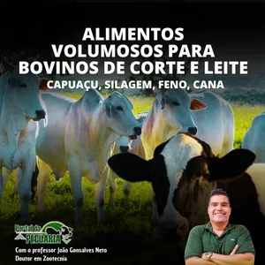 Imagem de capa para o Curso online Alimentos volumosos para bovinos