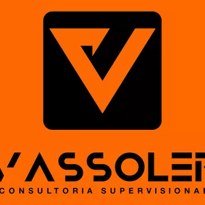 Imagem de capa para o Serviço online Vassoler Consultoria Online Supervisionada
