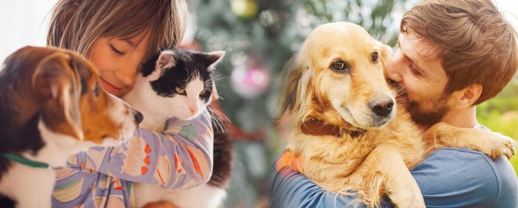 GUIA RÁPIDO DE ALIMENTAÇÃO PARA CÃES E GATOS