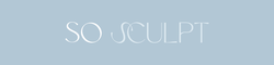 Body Sculpting Course By So Sculpt