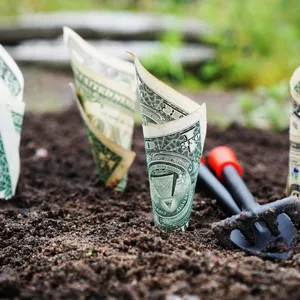 Imagem do curso Curso Bíblico de Finanças Pessoais
