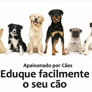 Imagem principal do produto Adestramento de cães 