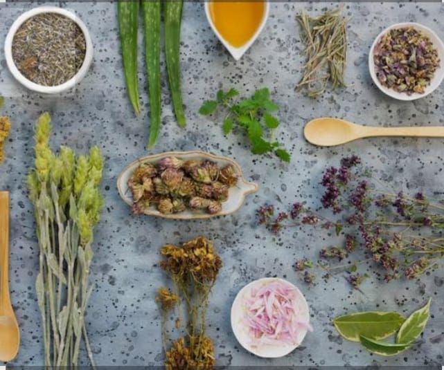 🌿 Guia Prático de Remédios Caseiros com Plantas Medicinais!