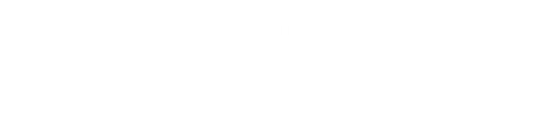 The Savvy Traveler's Guide to Iceland logo