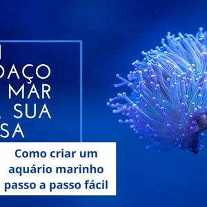 Imagem de capa para o Ebook Guia Completo para Iniciantes em Aquários Marinhos