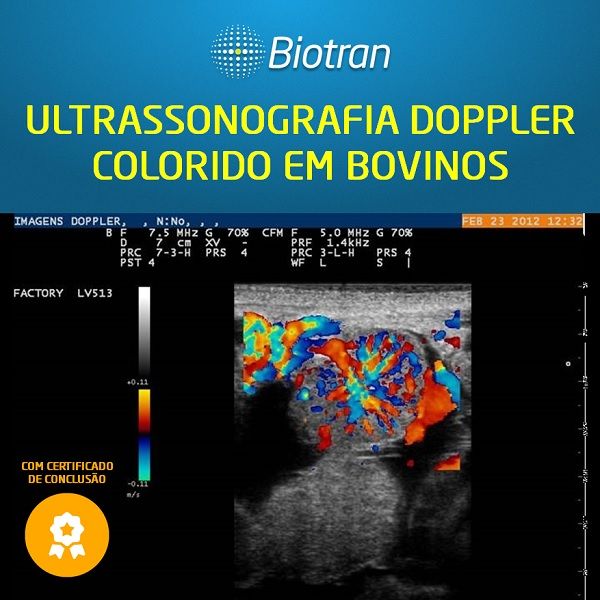 Imagem do curso Atualização em Ultrassonografia Doppler colorido em reprodução de bovinos