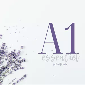 Image de couverture pour le Cours en ligne Français A1 Essentiel