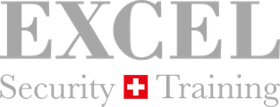 Excel Security Training logo