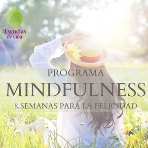 Imagen de portada para Curso online Programa mindfulness 8 semanas