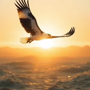 Imagem de Soul Águia criado por Luana Ramos Sampaio na hotmart