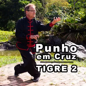 Imagem de capa para o Curso online 65 - Curso de  Kung Fu - Estilo Tigre 2 - Choy Li Fat - 十字拳 "Punho em Cruz "