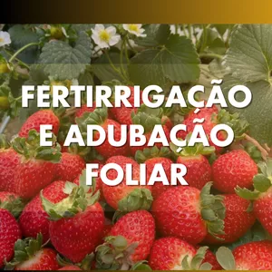 Imagem de capa para o Ebook Guia Prático da Solução Nutritiva Fertirrigação e Adubação Foliar