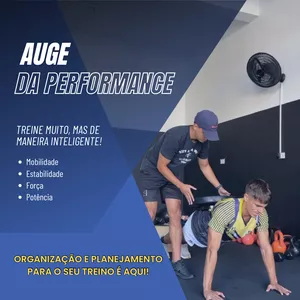 Imagem de capa para o Curso online Auge da Performance