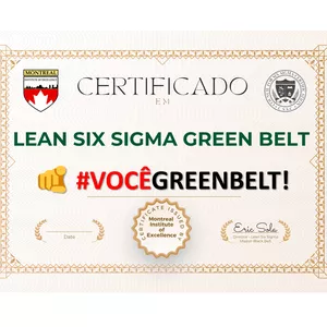 Imagem de capa para o Curso online GREEN BELT EM LEAN SIX SIGMA