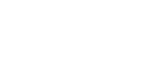 Inspect Point Academy logo