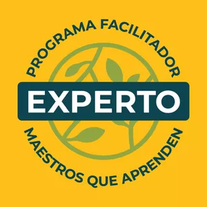 Imagen de portada para Curso online Facilitador Experto - Diseña e imparte cursos en tu área de experiencia