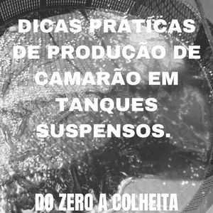 Imagem do curso DICAS PRÁTICAS DE PRODUÇÃO DE CAMARÃO EM TANQUES SUSPENSOS DO ZERO A COLHEITA.