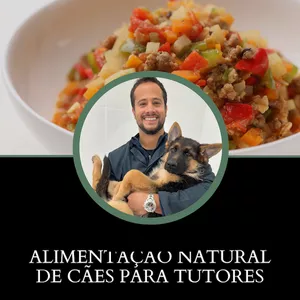 Capa do curso 