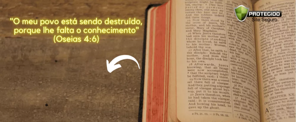 Comece HOJE MESMO a entender a Bíblia de Gênesis a Apocalipse