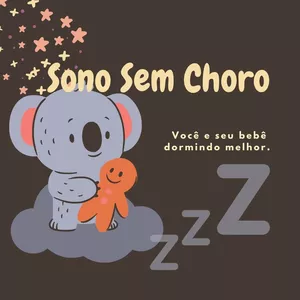 Imagem de capa para o Ebook Sono Sem Choro